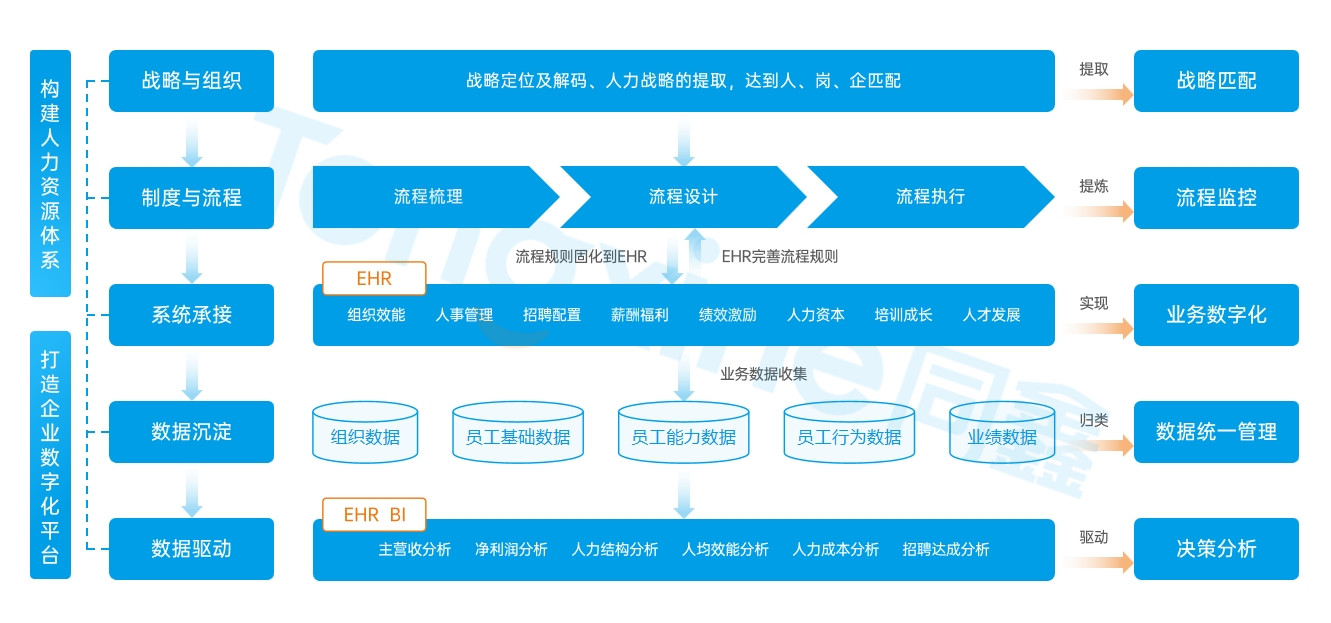 HR数字化系统